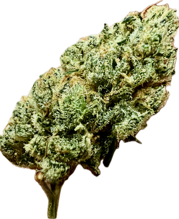 Ripkitty Indoor Big Apple Jack CBD Hemp Flowers