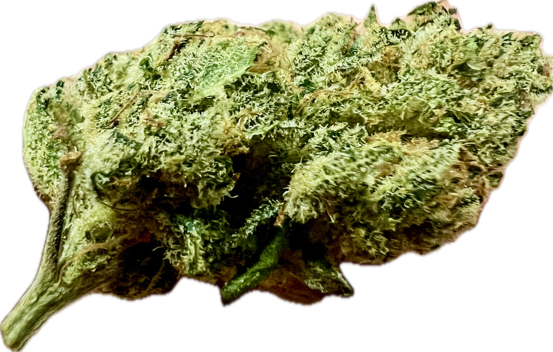 Ripkitty Indoor Big Apple Jack CBD Hemp Flowers