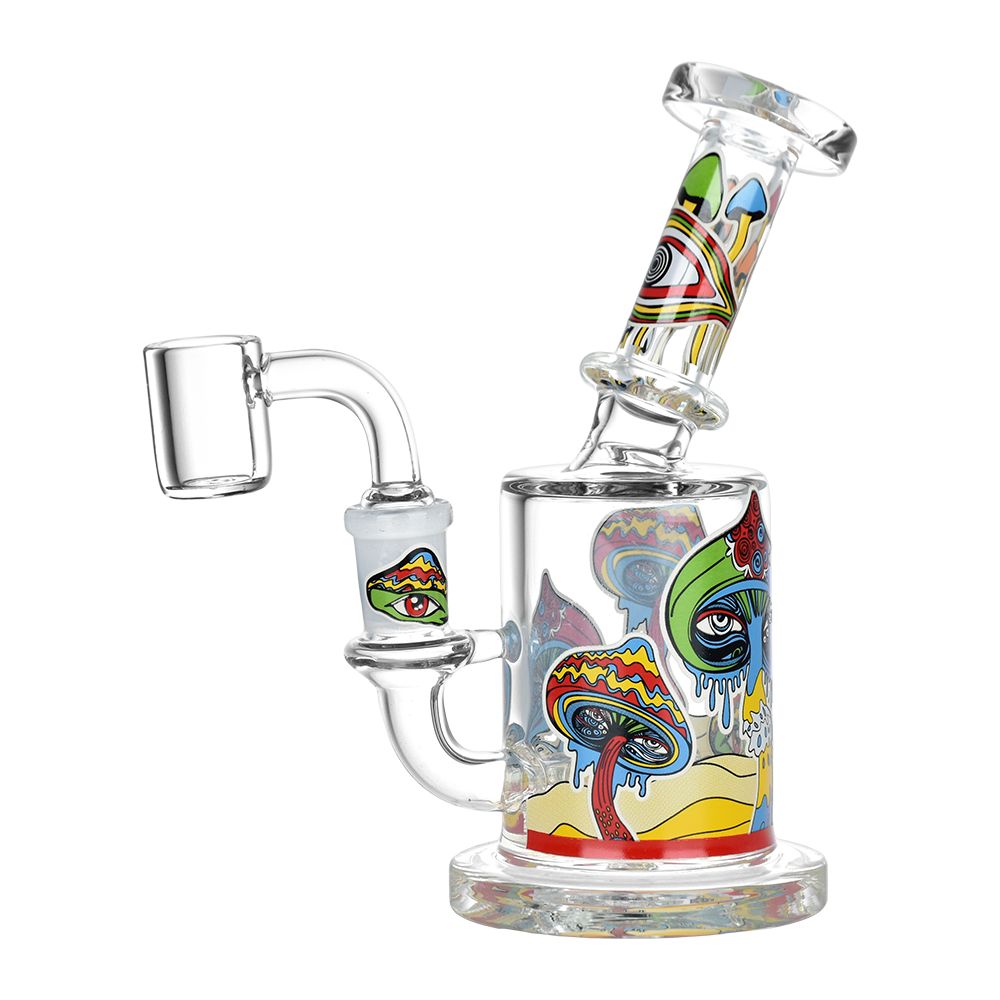 Dab Rigs Under $100