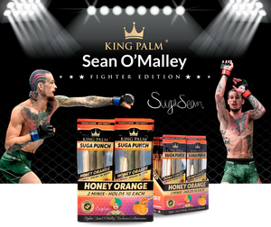 RAW Astrocone 3 Foot Cone