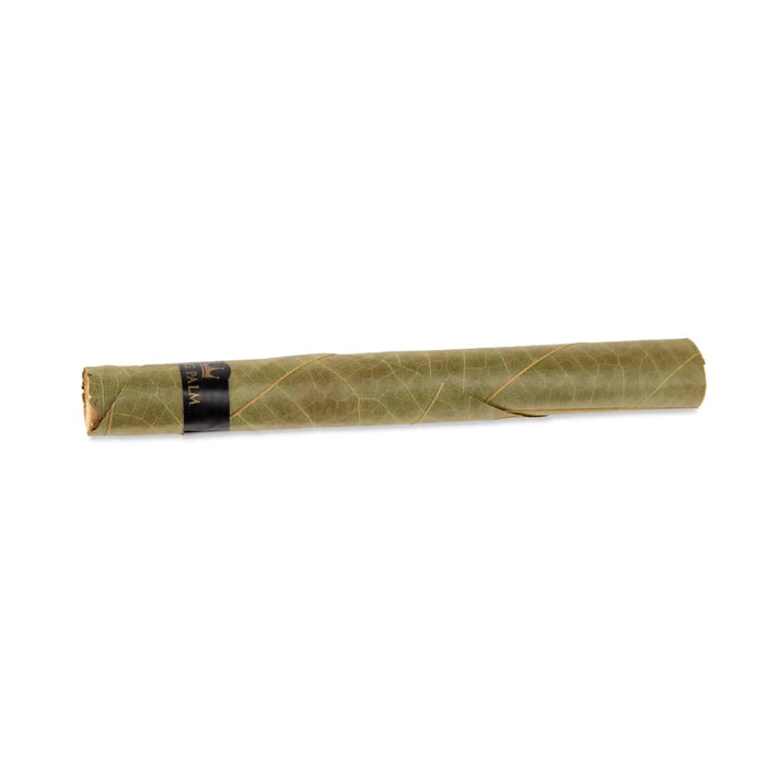 King Palm XXL Size Natural Pre-Rolled Leaf Tubes 5 Pack