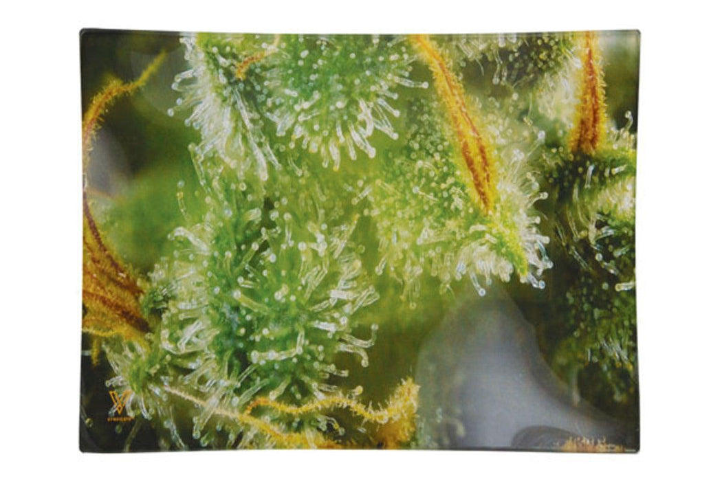 Tricomb Jungle Glass Rolling Tray  - 2 Sizes
